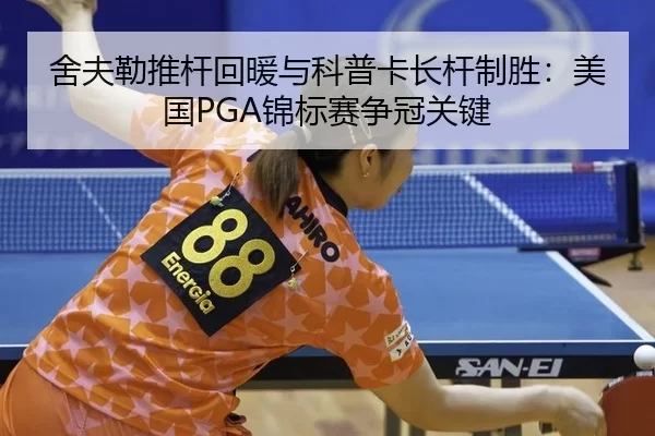 she-fu-lei-tui-gan-hui-nuan-yu-ke-pu-ka-zhang-gan-zhi-sheng-mei-guo-jin-biao-sai-zheng-guan-guan-jian-2-153.jpg