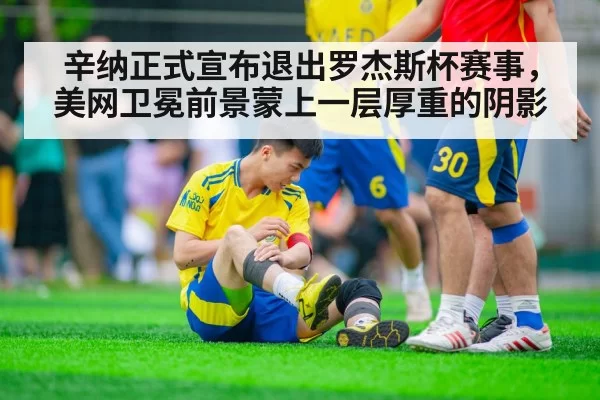 辛纳正式宣布退出罗杰斯杯赛事，美网卫冕前景蒙上一层厚重的阴影